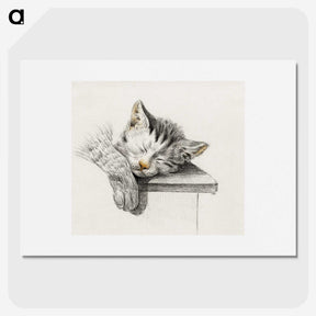 1-47_Jean-Bernard_picture