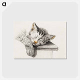 アートポストカード-Sketch of a sleeping cat - ジャン ベルナール Postcard.