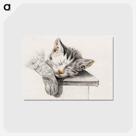 アートポストカード-Sketch of a sleeping cat - ジャン ベルナール Postcard.