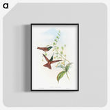 1-47_John-Gould_blk-crop