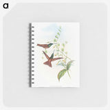 1-47_John-Gould_memo