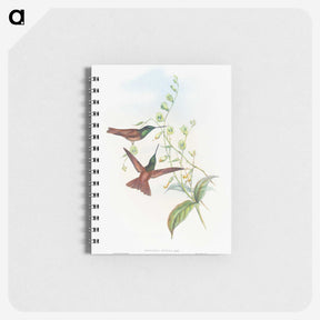 1-47_John-Gould_memo