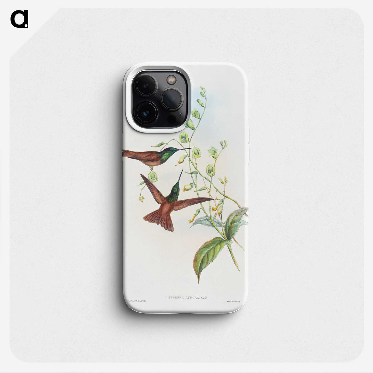 1-47_John-Gould_phone