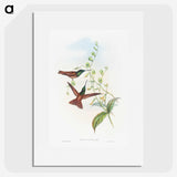 1-47_John-Gould_picture