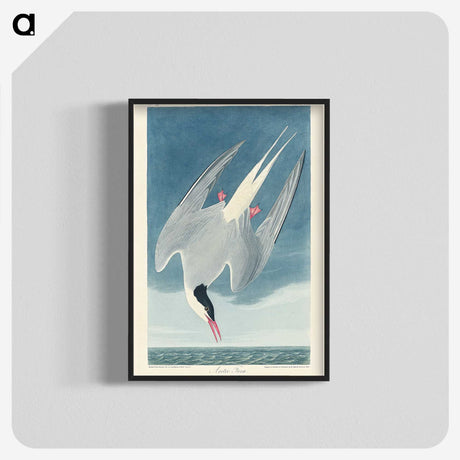 1-47_John-James-Audubon_blk-crop