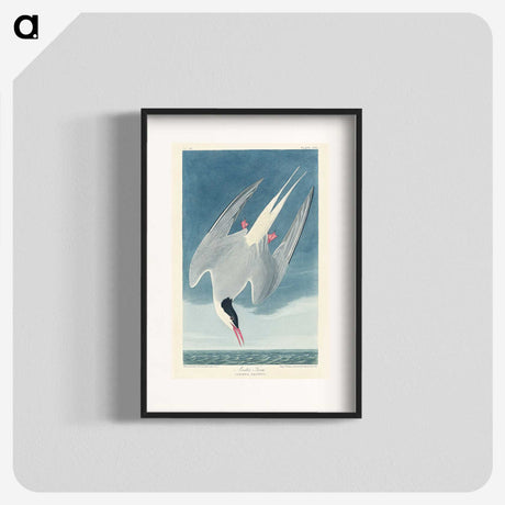 1-47_John-James-Audubon_blk