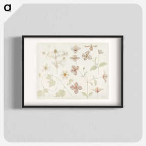 アートポスター-Study sheet with Sea Thistle, Hop and Clematis - ユリー デ フラーハ Poster.