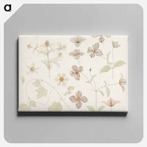 アートパネル-Study sheet with Sea Thistle, Hop and Clematis - ユリー デ フラーハ Canvas.