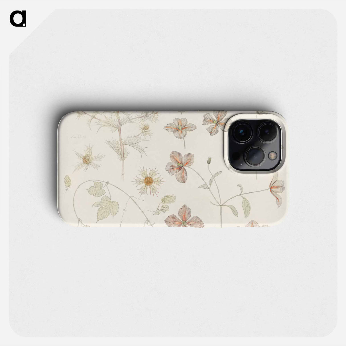 Study sheet with Sea Thistle, Hop and Clematis - Julie de Graag Phone Case.