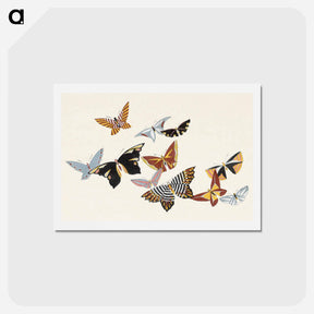 アートポストカード-All Kinds of Butterflies, Vol.1 - 神坂 雪佳 Postcard.