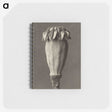 1-47_Karl-Blossfeldt_memo