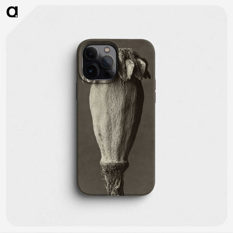 1-47_Karl-Blossfeldt_phone