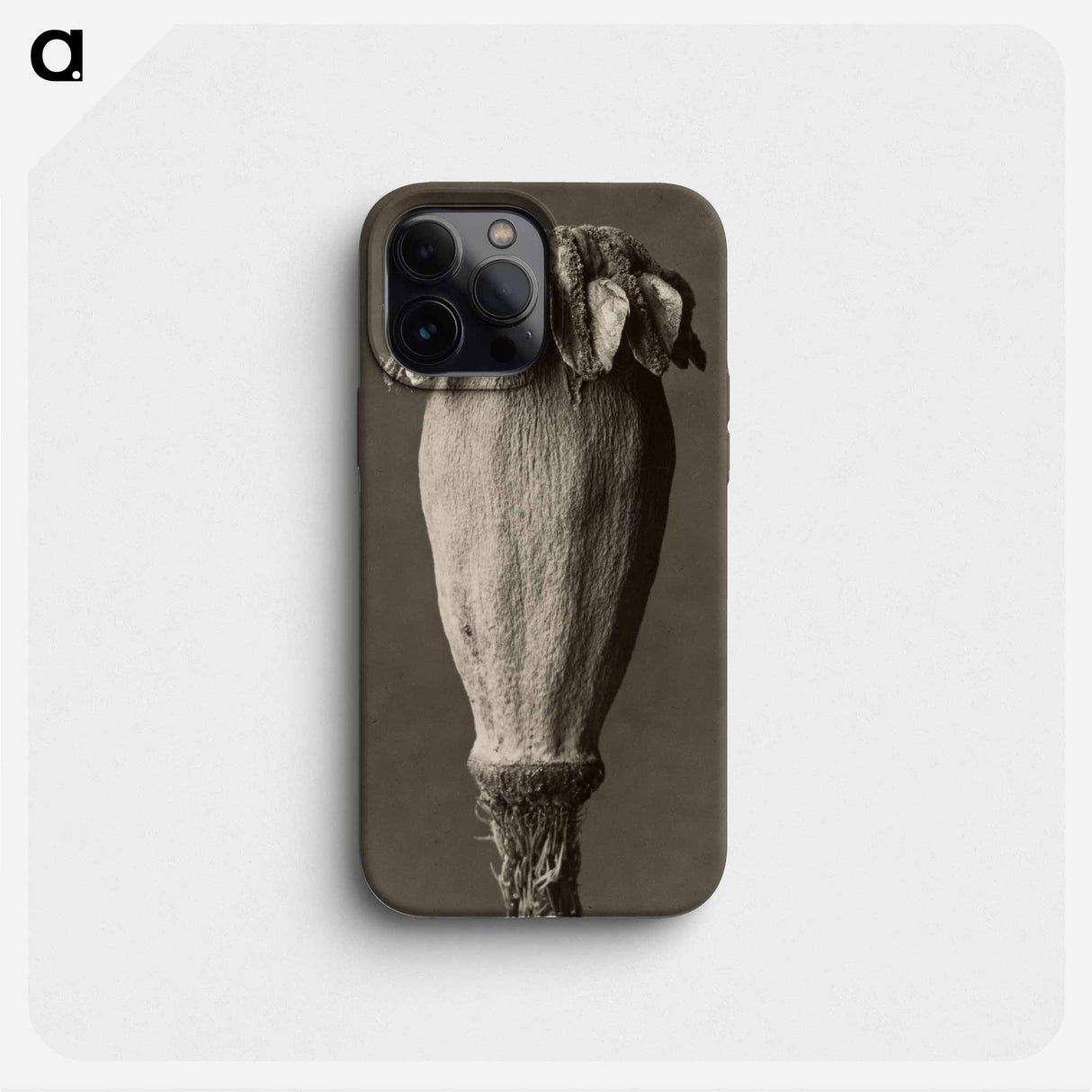 Papaver orientalis - Karl Blossfeldt Phone Case.