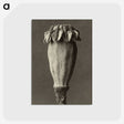 1-47_Karl-Blossfeldt_postcard