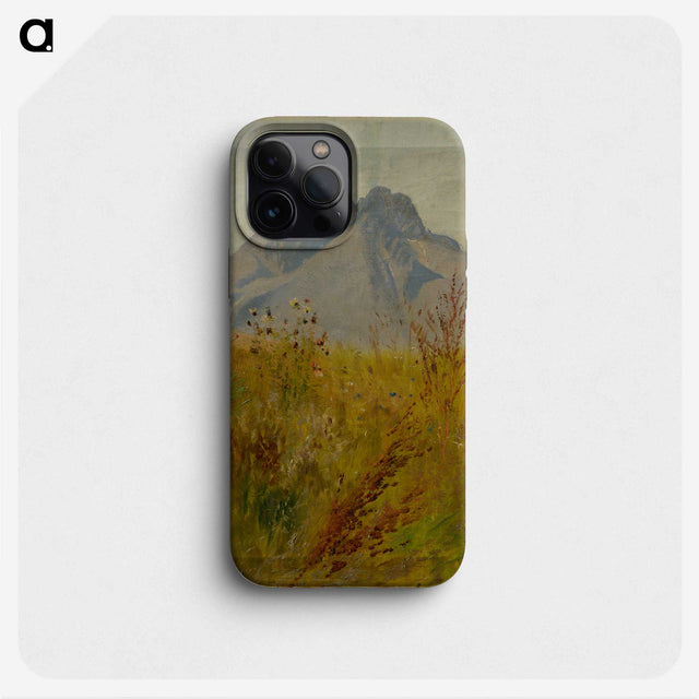 1-47_Ladislav-Mednyanszky_phone
