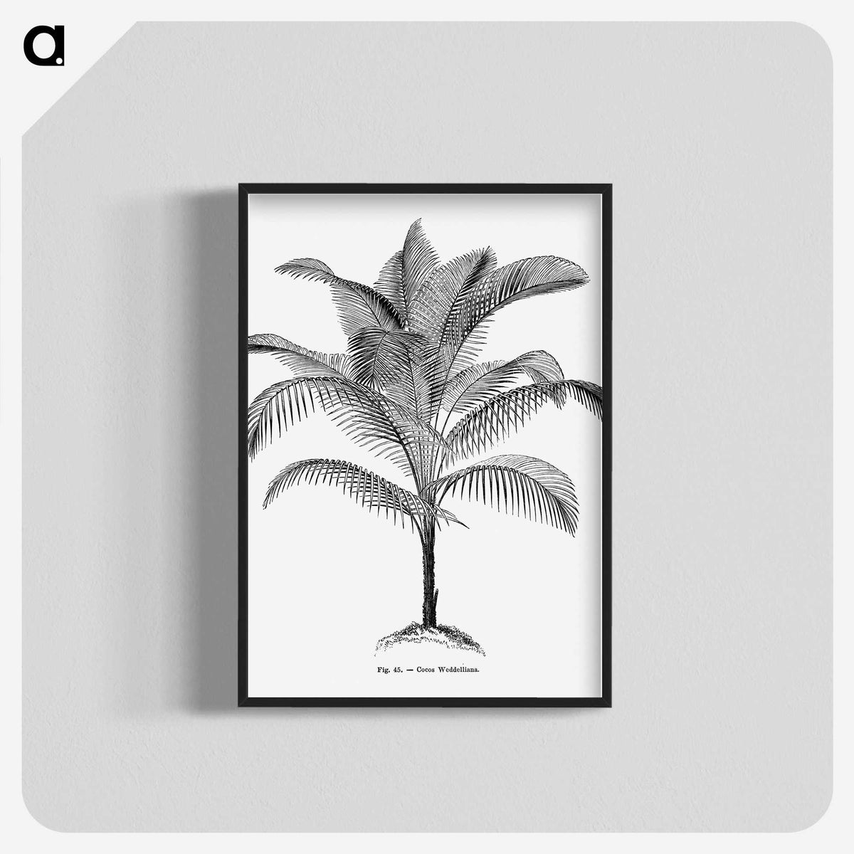 1-47_Les-Palmiers-Histoire-Iconographique_blk-crop