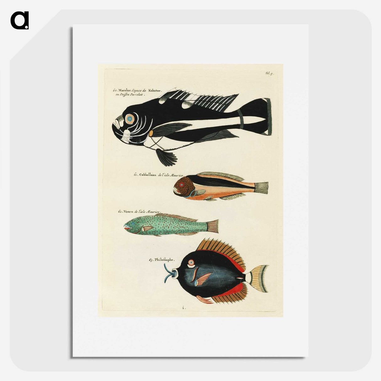 1-47_Louis-Renard_picture