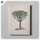 1-47_Luigi-Balugani_canvas