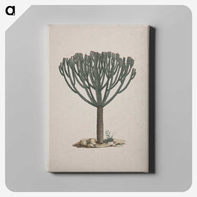 1-47_Luigi-Balugani_canvas