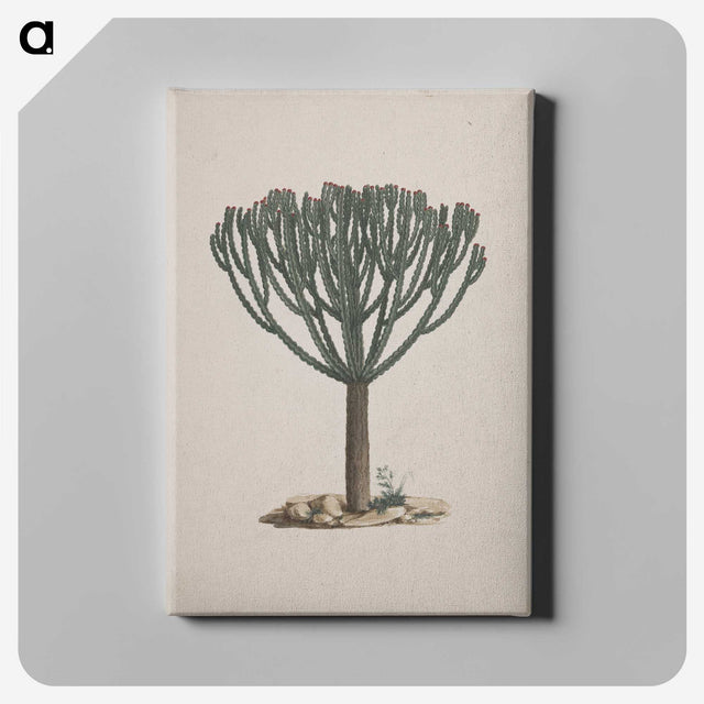 1-47_Luigi-Balugani_canvas