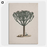 1-47_Luigi-Balugani_picture-crop