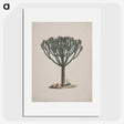 1-47_Luigi-Balugani_picture