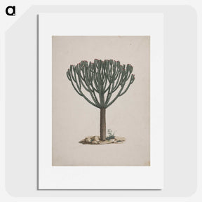 1-47_Luigi-Balugani_picture