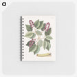 1-47_Mark-Catesby_memo