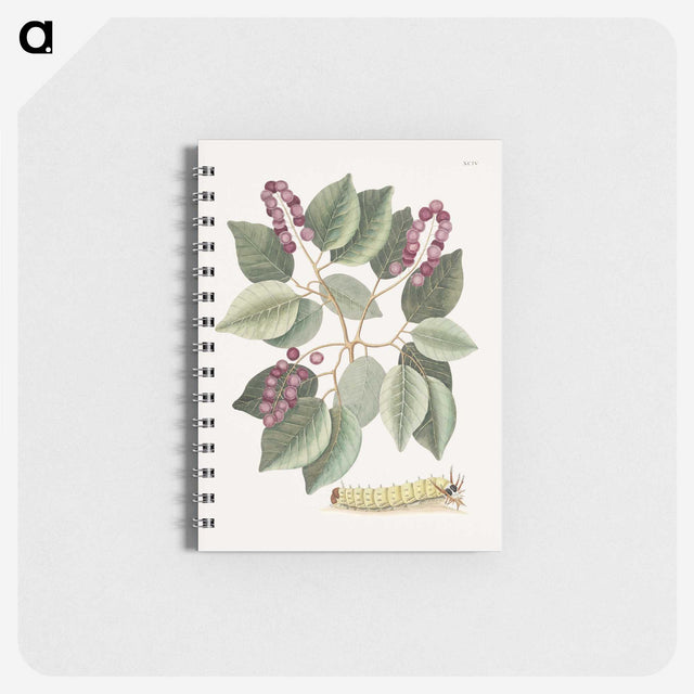 1-47_Mark-Catesby_memo