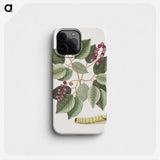 1-47_Mark-Catesby_phone