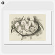 1-47_Marsden-Hartley_picture