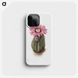 1-47_Mary-Vaux-Walcott_phone