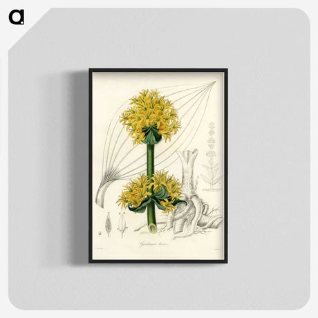 1-47_Medical-Botany_blk-crop