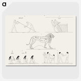 1-47_Monuments-of-Egypt-and-Nubia_picture-crop