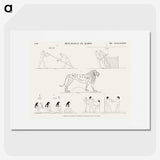 1-47_Monuments-of-Egypt-and-Nubia_picture