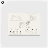 1-47_Monuments-of-Egypt-and-Nubia_postcard