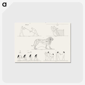1-47_Monuments-of-Egypt-and-Nubia_postcard