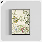 1-47_Native-Flowering-Plants-of-New-Zealand_blk-crop