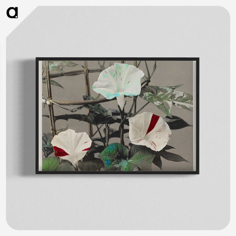 1-47_Ogawa-Kazumasa_blk-crop