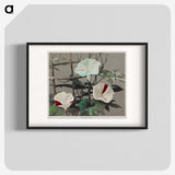 1-47_Ogawa-Kazumasa_blk