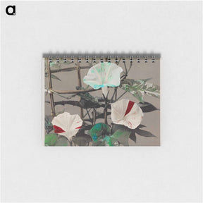 アートメモ帳-Morning Glory - 小川 一正 Memo.