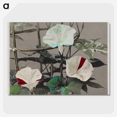 1-47_Ogawa-Kazumasa_picture-crop