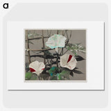 1-47_Ogawa-Kazumasa_picture
