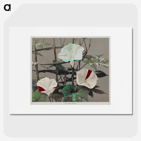 1-47_Ogawa-Kazumasa_picture