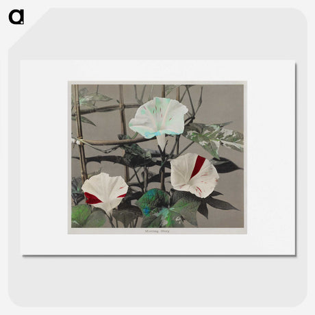 1-47_Ogawa-Kazumasa_picture