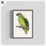 1-47_Parrots-in-Captivity_blk-crop