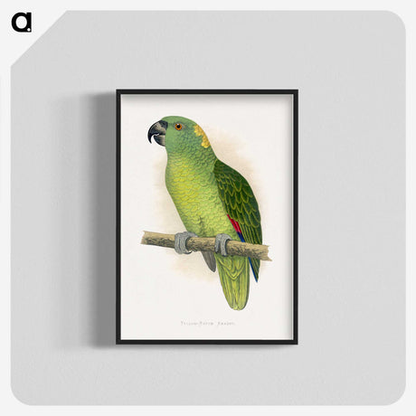 1-47_Parrots-in-Captivity_blk-crop