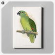 1-47_Parrots-in-Captivity_canvas