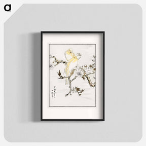 アートポスター-Canary and Peach
 - 鳥類図鑑 Poster.