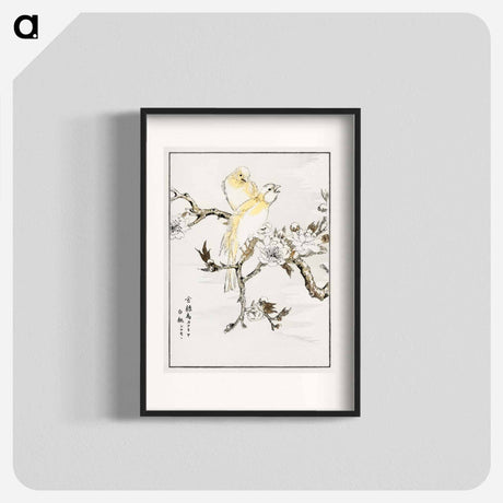 アートポスター-Canary and Peach
 - 鳥類図鑑 Poster.